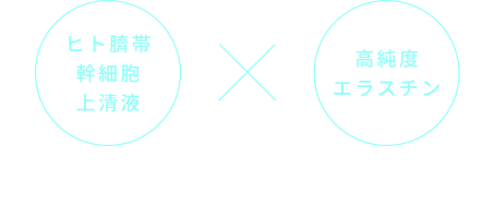 �G�N�\�\�[��