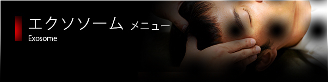 �G�N�\�\�[��